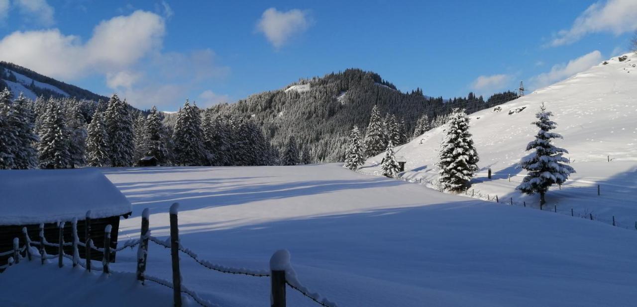 Haus Jessica Incl National Park Sommercard *