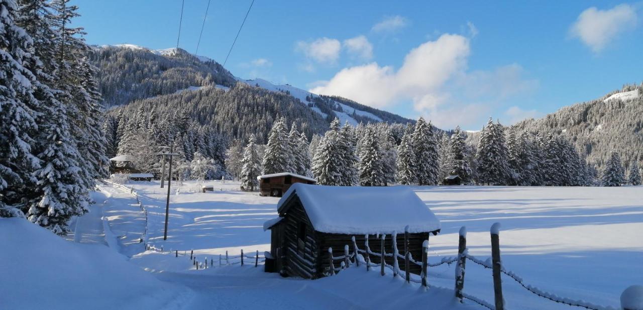 Haus Jessica Incl National Park Sommercard Apartment Mittersill