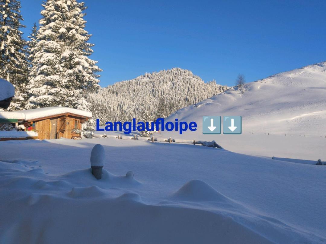 Haus Jessica Incl National Park Sommercard Apartment Mittersill
